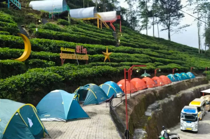 Glamping Sky Tea, Wisata Alam Kekinian di Tengah Perkebunan Teh Sirah Kencong Blitar