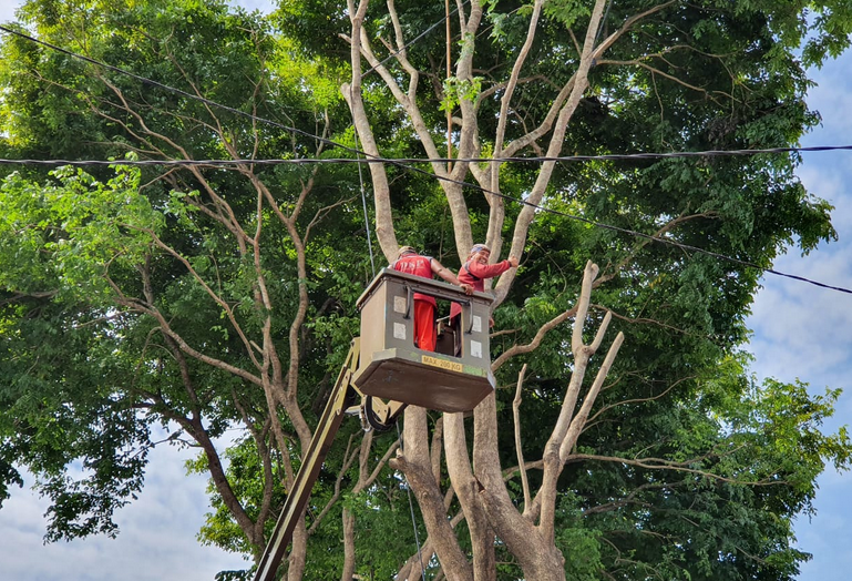 Cegah Bahaya Saat Musim Hujan, Pemkot Blitar Gencarkan Pemangkasan Pohon