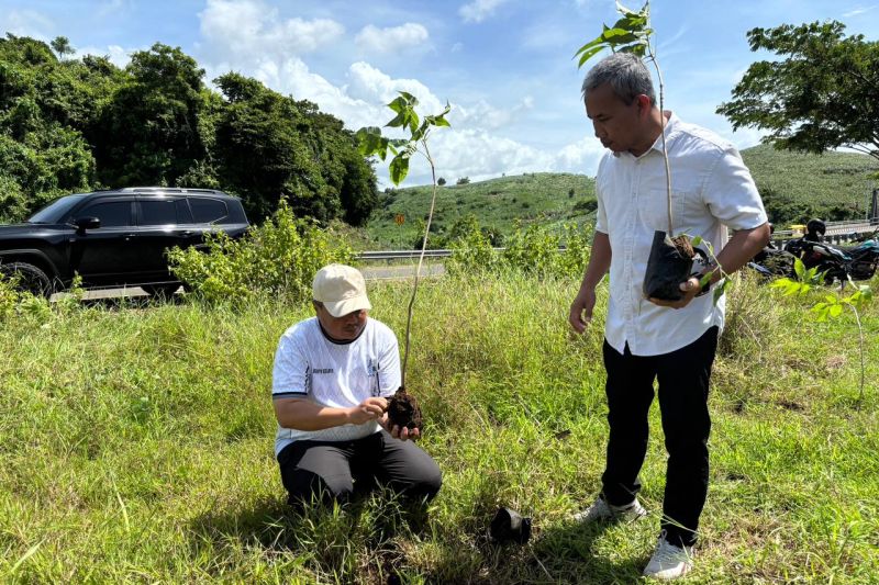 Langkah Nyata Pelestarian Lingkungan, JLS Blitar Ditanami 3.000 Pohon