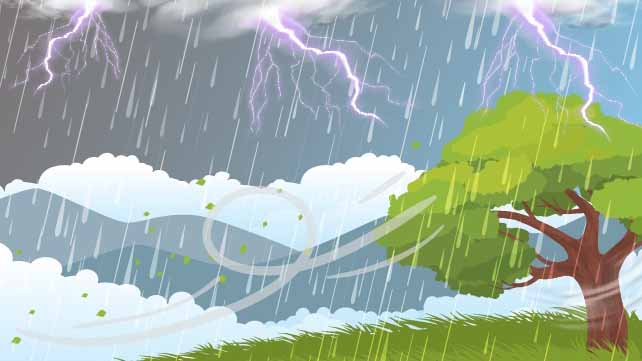 ilustrasi pohon tumbang akibat hujan deras